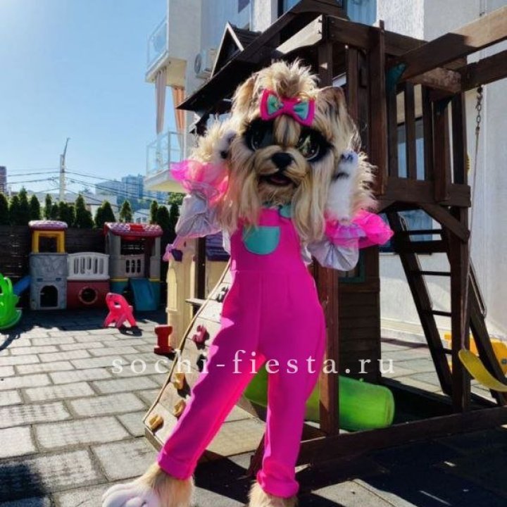 Аниматор Гламурная Собака в Подольске