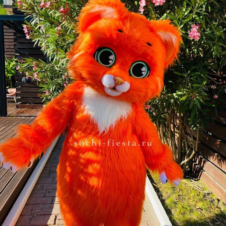 Аниматор Котик в Подольске