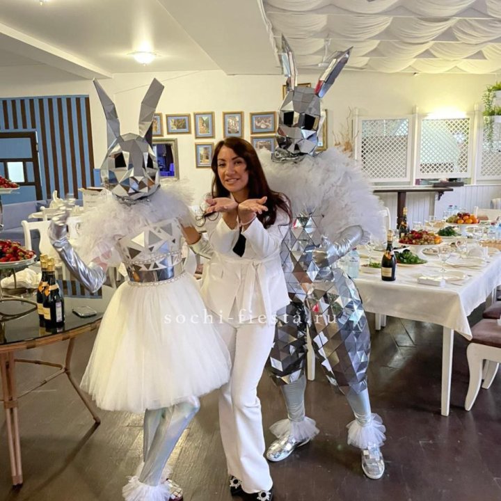 Аниматор Зеркальный заяц в Подольске