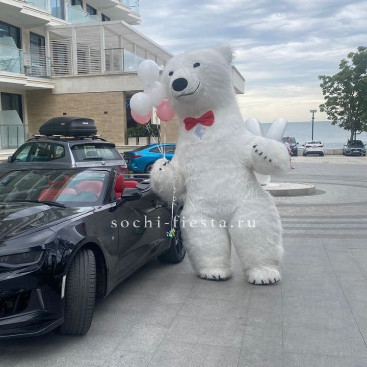 Аниматор Белый Медведь в Подольске