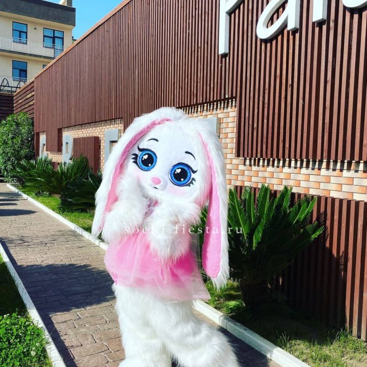 Аниматор Зайка в Подольске