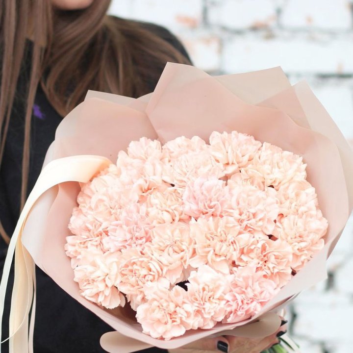 Диантусы №2 в Подольске