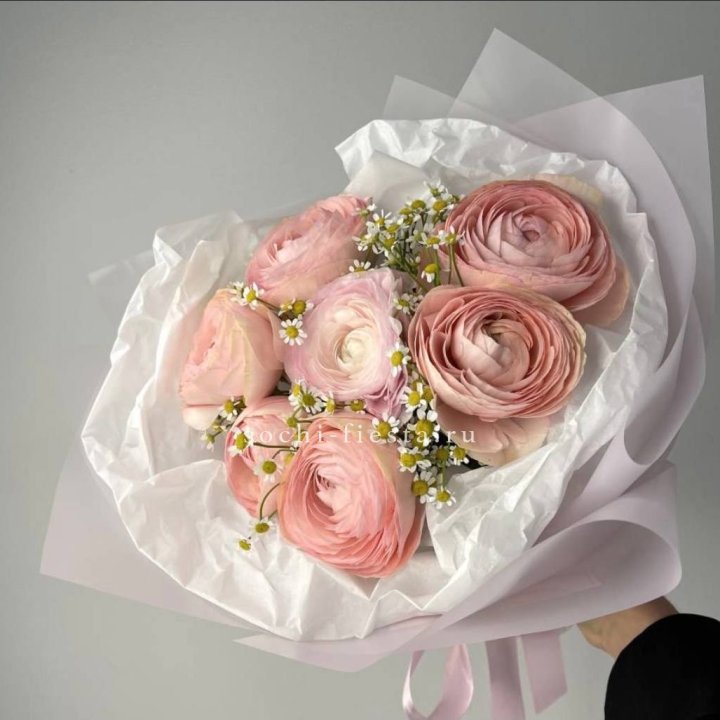 Ранункулюсы с ромашками в Подольске