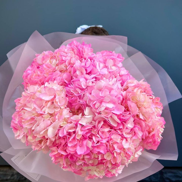 9 ярко розовых гортензий в Подольске