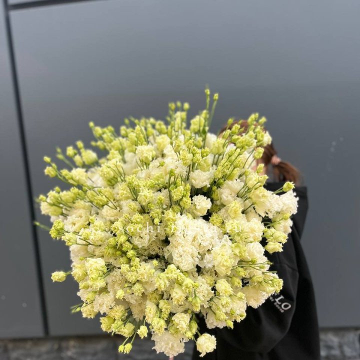 51 белая эустома в Подольске