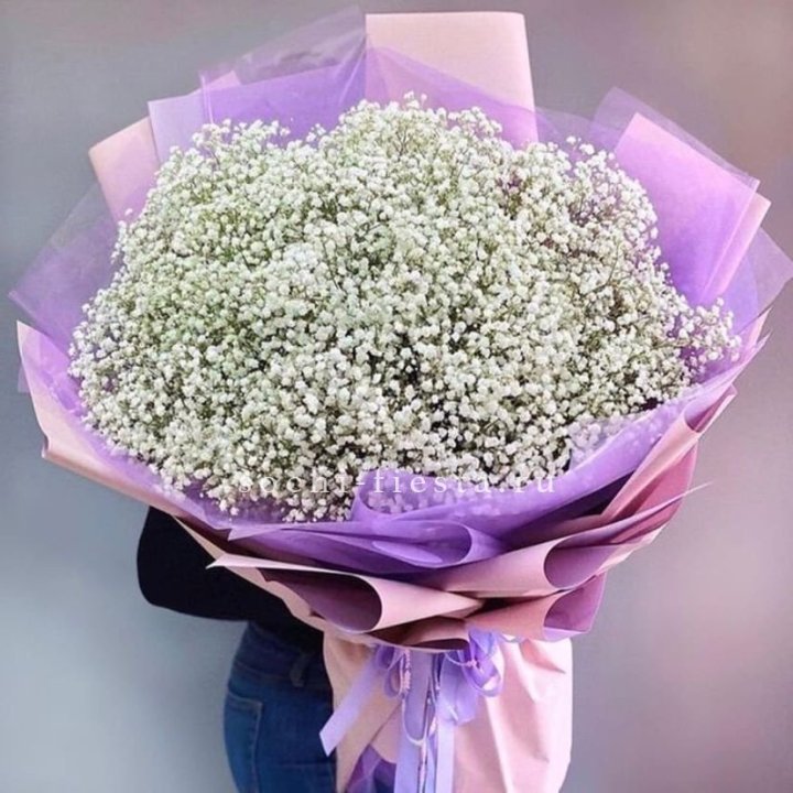 Облако белых гипсофил в Подольске