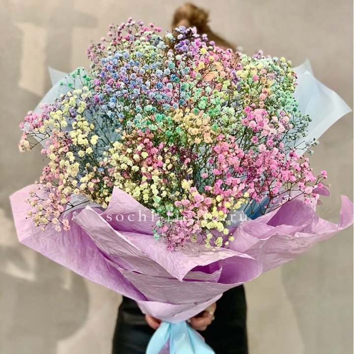 Радужные гипсофилы №2 в Подольске