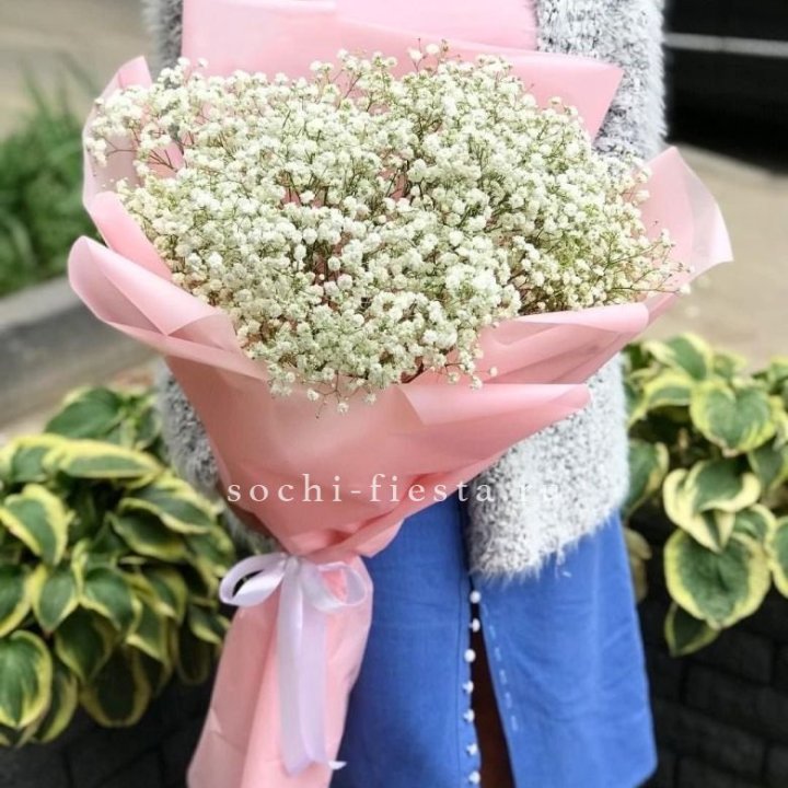 Белоснежные гипсофилы в Подольске