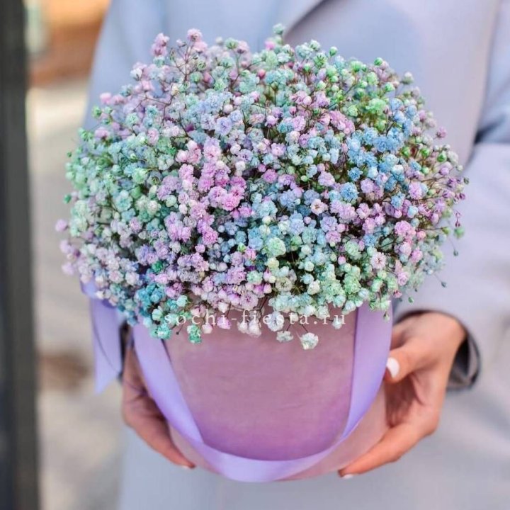 Гипсофилы в шляпной коробке "Кандилайт" в Подольске