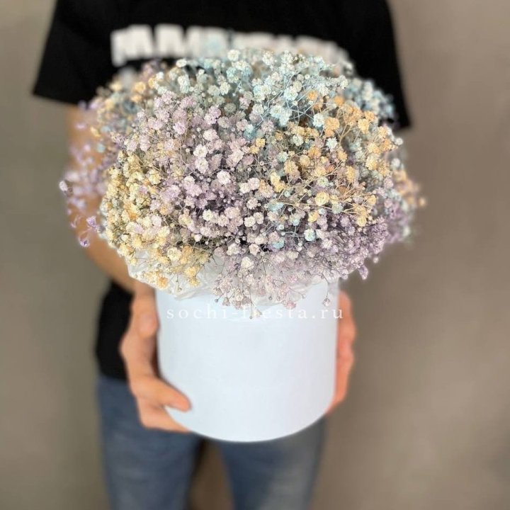 9 Радужных гипсофил в шляпной коробке в Подольске