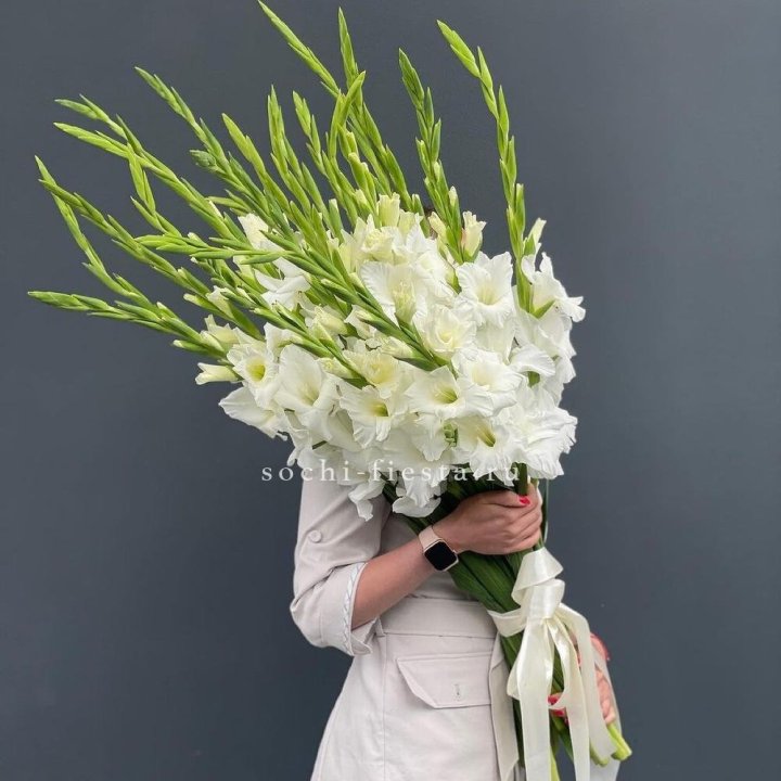 19 белых гладиолусов под ленту в Подольске