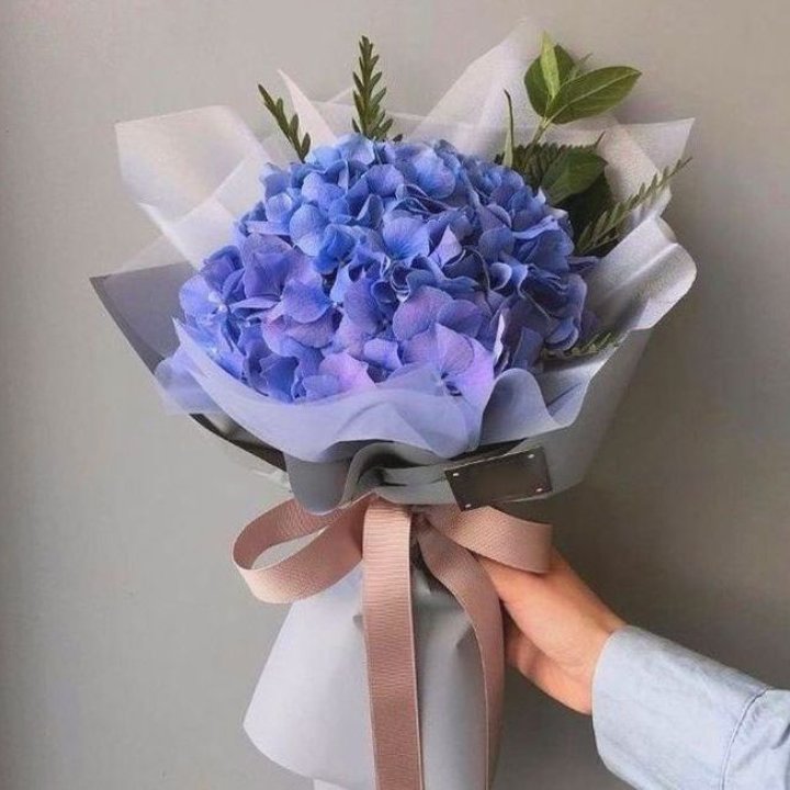 Гортензия голубая в Подольске