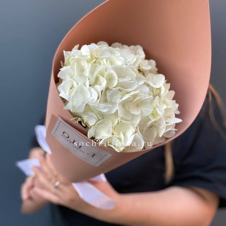 Гортензия в конверте в Подольске