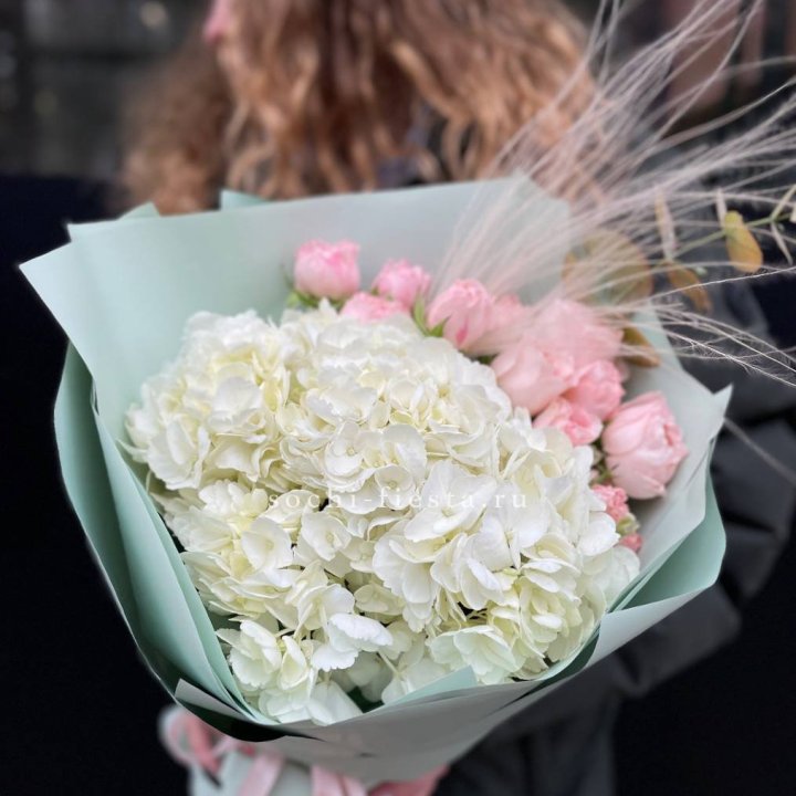 Гортензия "Жасмин" в Подольске