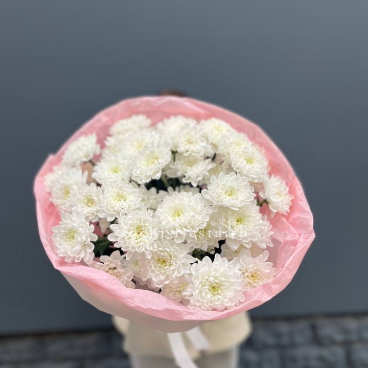  5 хризантем  в Подольске