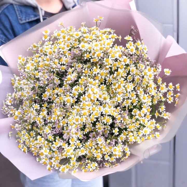 Букет ромашек №1 в Подольске