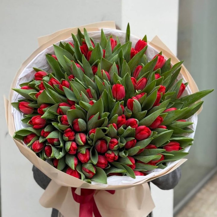 101 красный тюльпан в Подольске