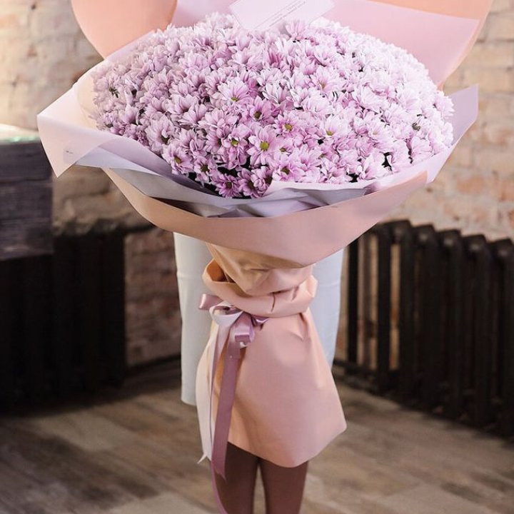 Облако хризантем №1 в Подольске