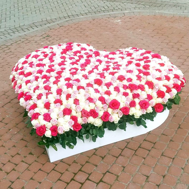 555 роза  в Подольске