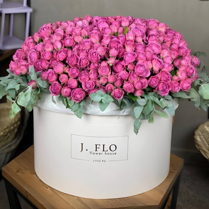 Цилиндр с Мисти Бабблс  в Подольске