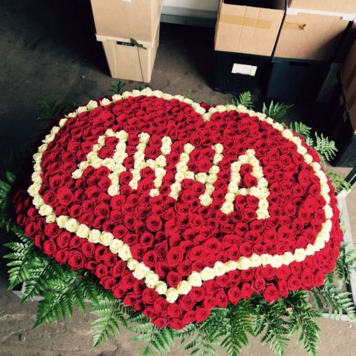 555 роз с именем в Подольске