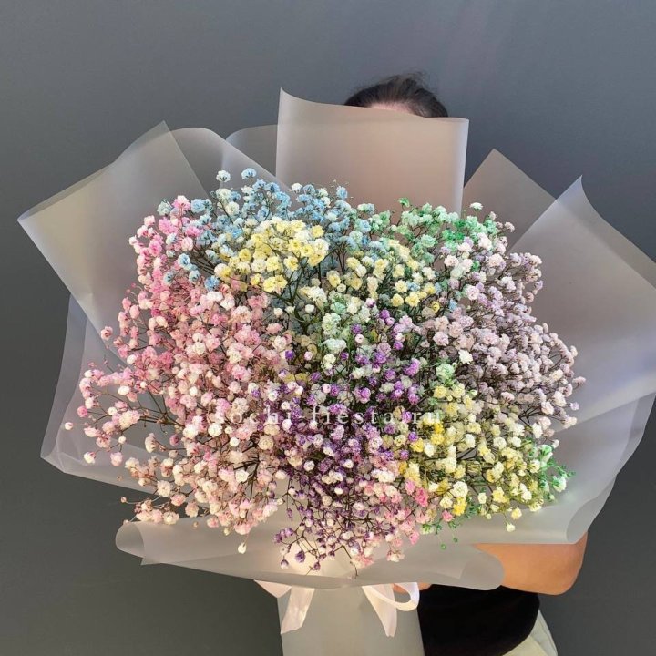 Радужные гипсофилы  в Подольске