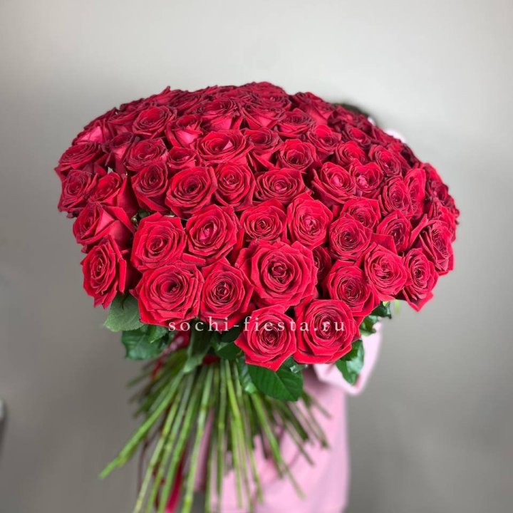 101  голландская роза  в Подольске