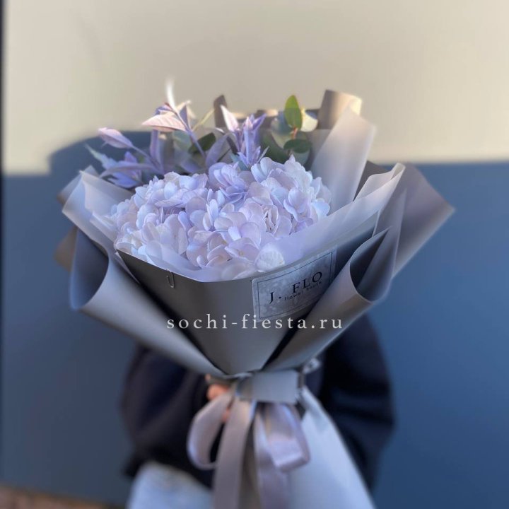 Гортензия "Виолета" в Подольске