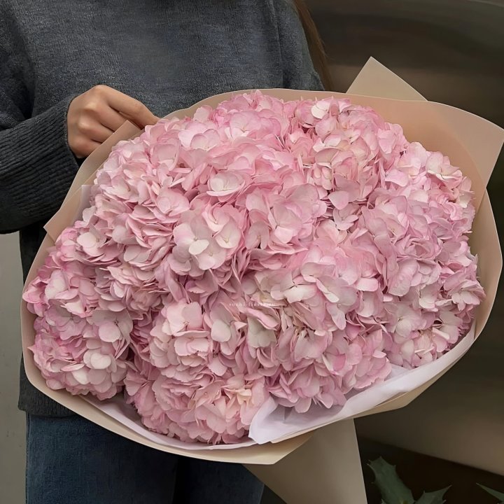 Гортензия  "РОЗЕ" в Подольске