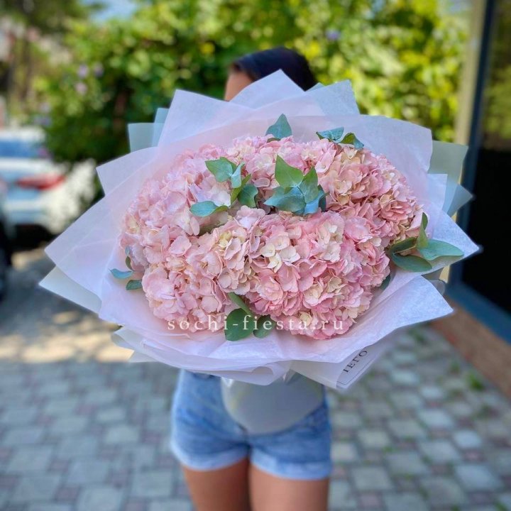 5 розовых гортензий  в Подольске