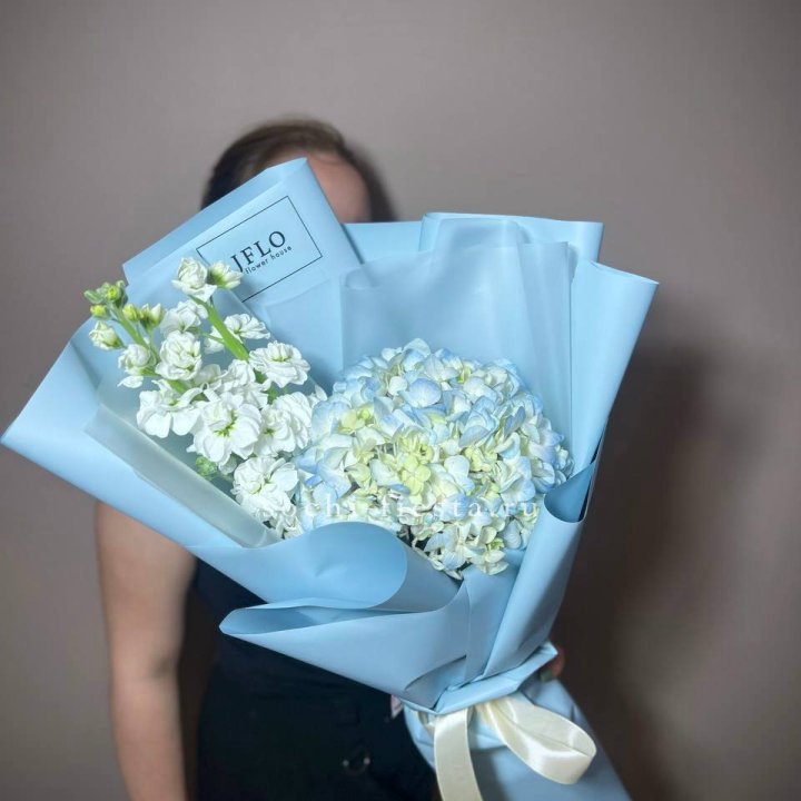 Гортензия голубая с маттиолой в Подольске