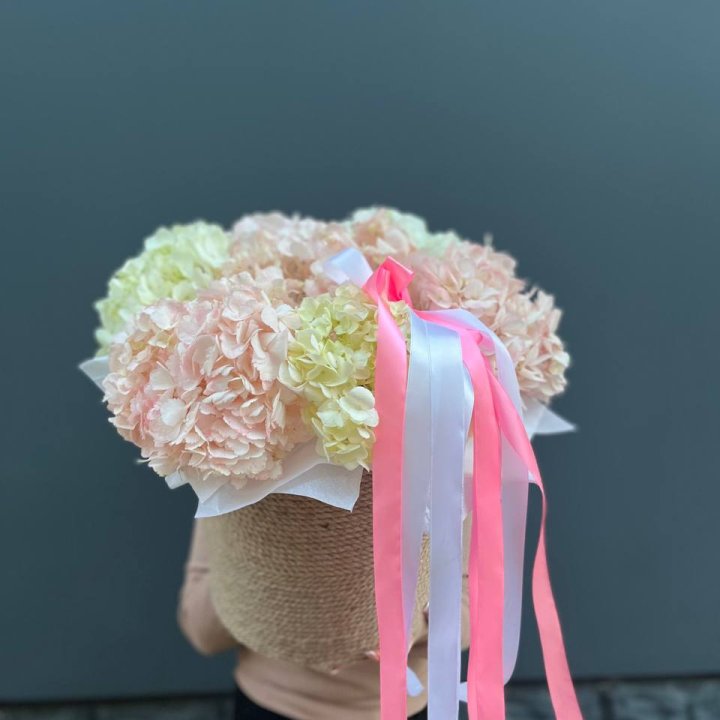 7 гортензий в кашпо в Подольске