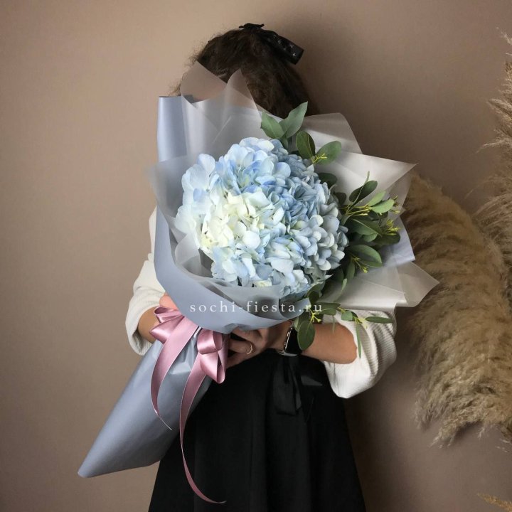 Гортензия Уно в Подольске