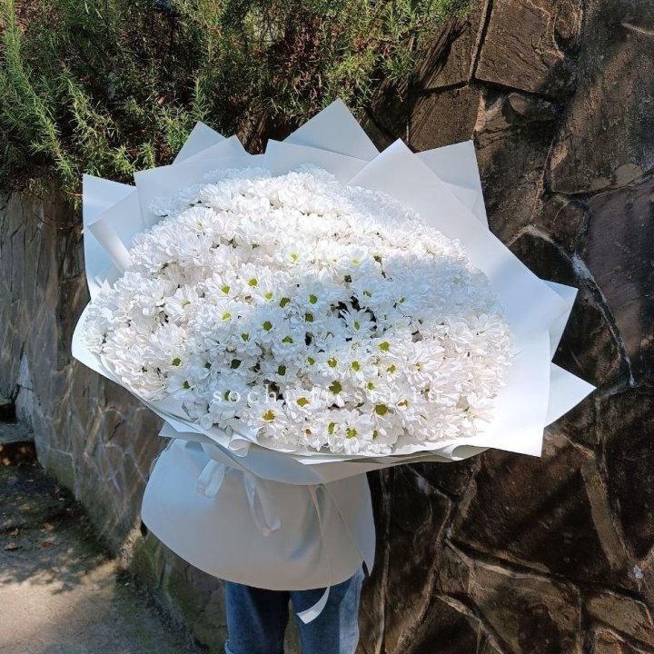 Облако хризантем №2 в Подольске