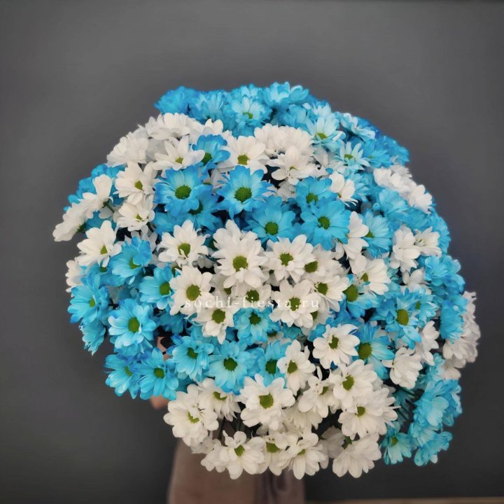  Букет хризантем микс в Подольске