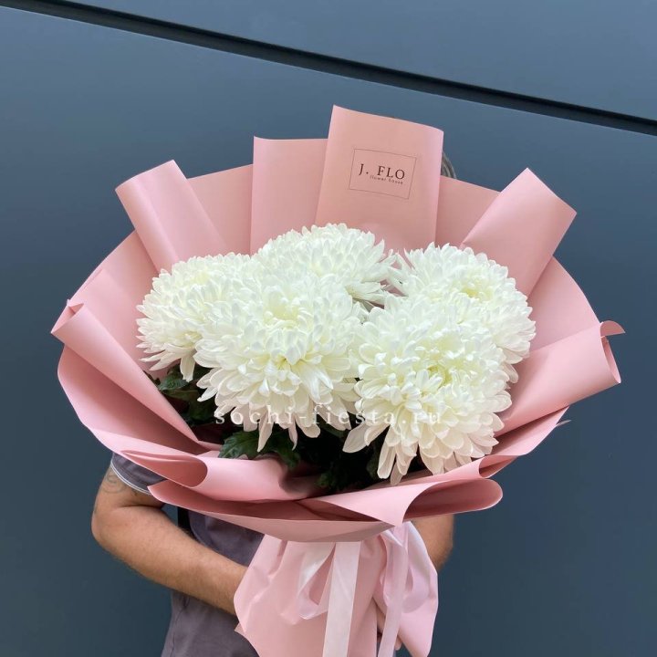 Профитроли №2 в Подольске