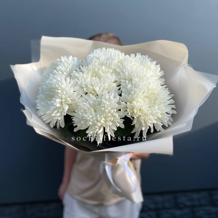 Профитроли в Подольске