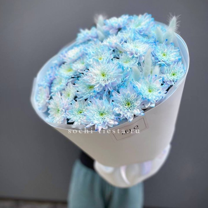  Букет нежно-голубых хризантем  в Подольске