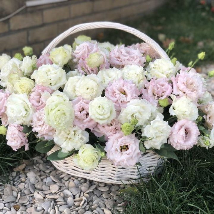 Корзина с эустомой в Подольске