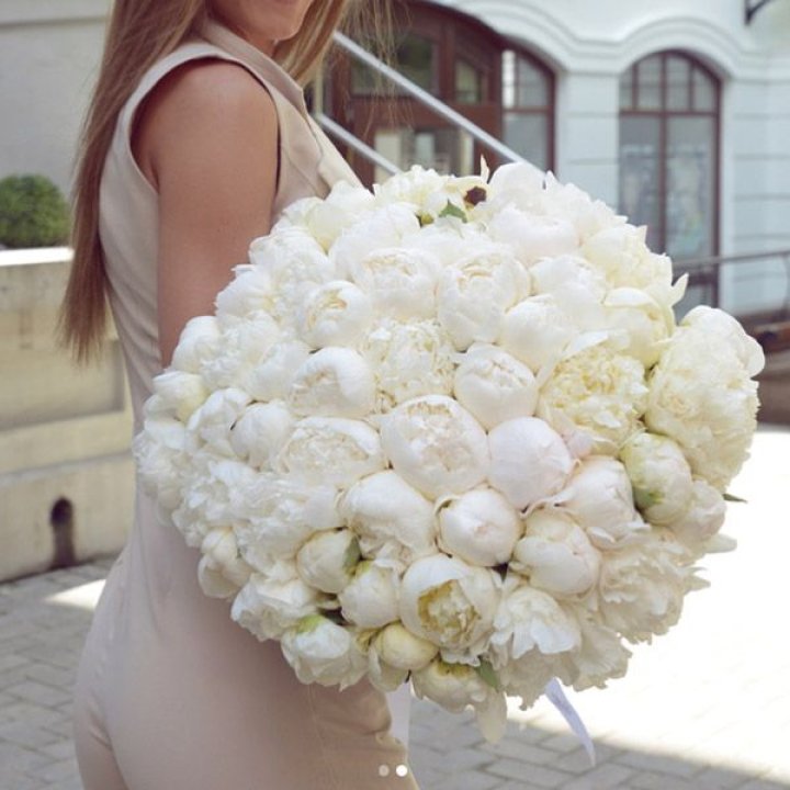 51 белый пион в Подольске