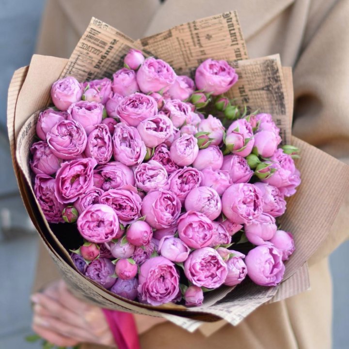 Роза Мисти Баблс в Подольске