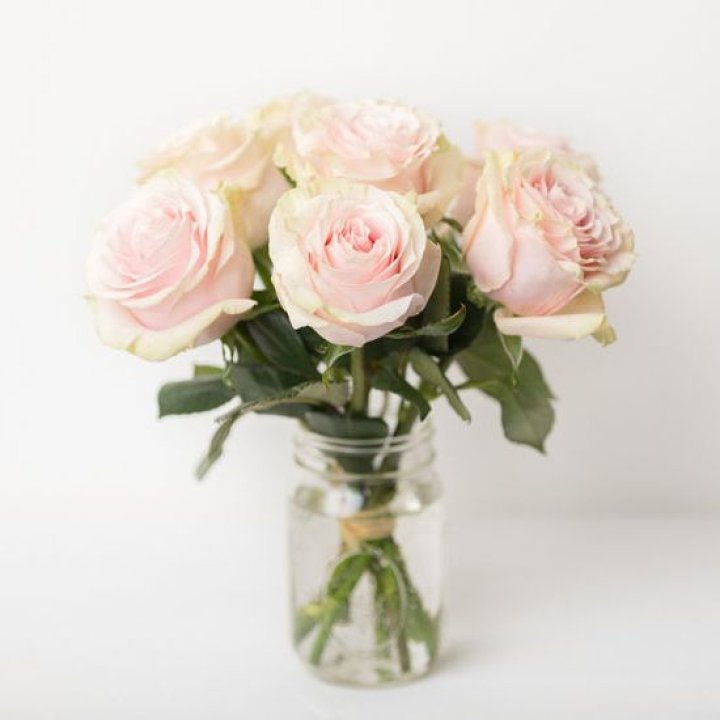 7 кремовых роз в Подольске