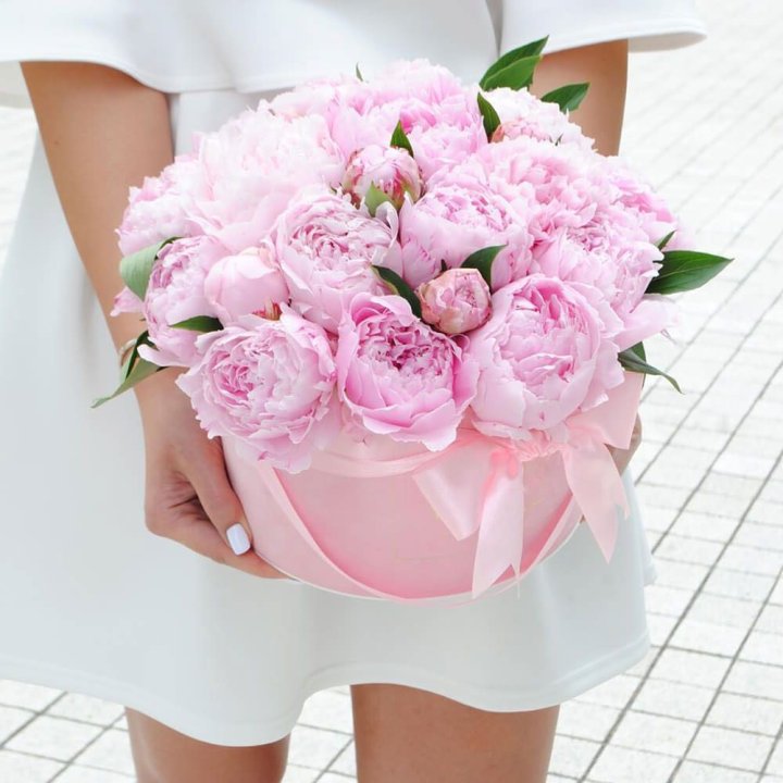 Пионы в шляпной коробке в Подольске