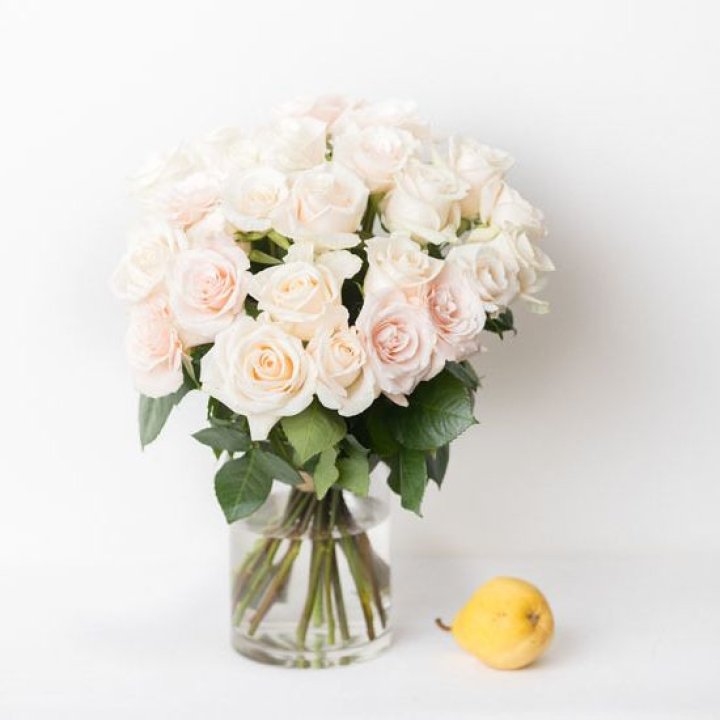 25 кремовых роз в Подольске