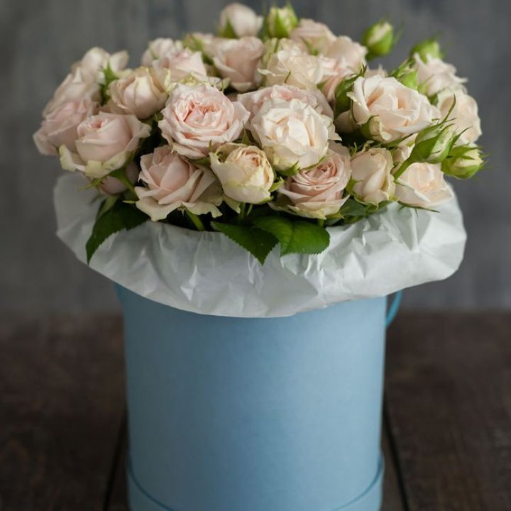 Бокс с бомбастиком в Подольске