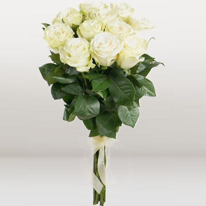 11 белых голландских роз в Подольске