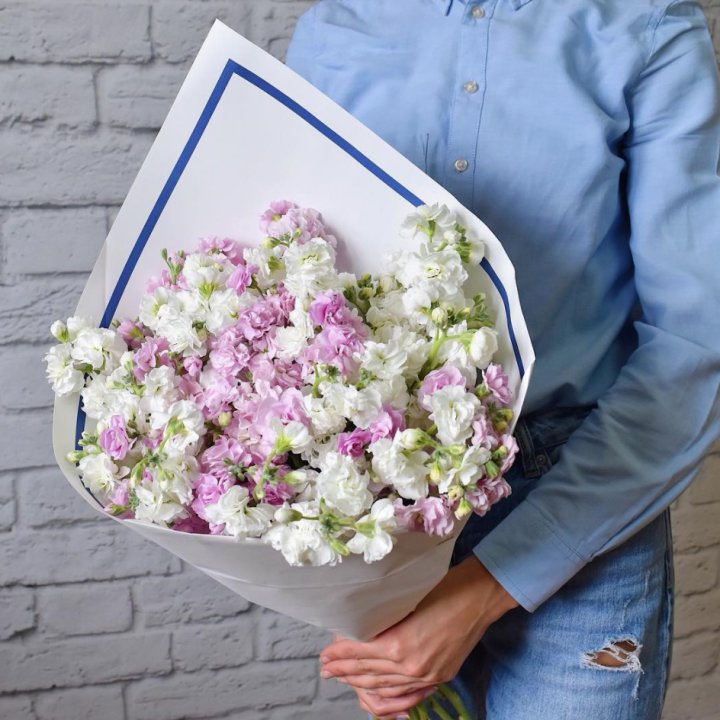 Маттиола в Подольске