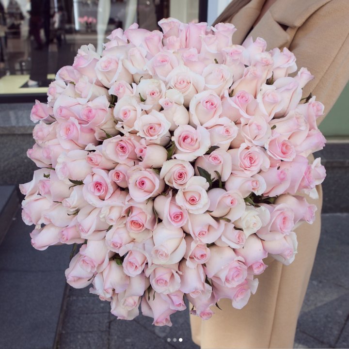 Розы "Пинк бум" в Подольске