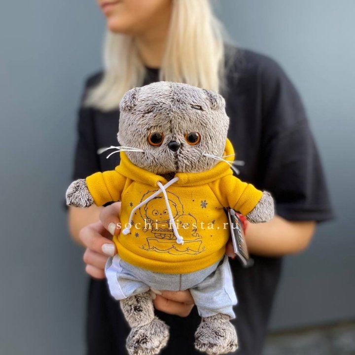 Кот Басик в худи в Подольске