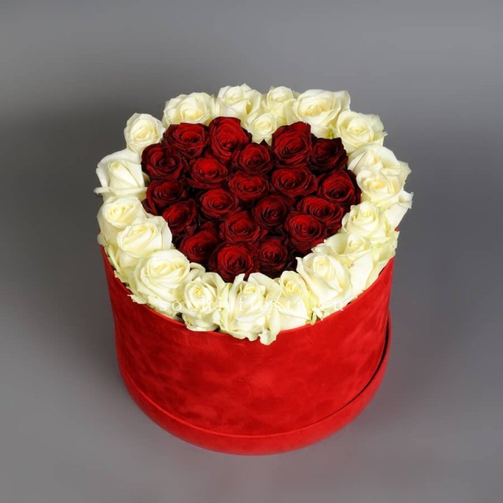 39 красных и белых роз в цилиндре в Подольске